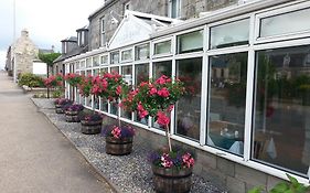 Willowbank